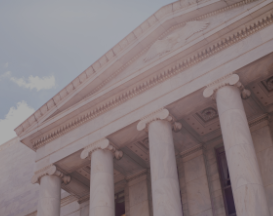 Government Organizations
